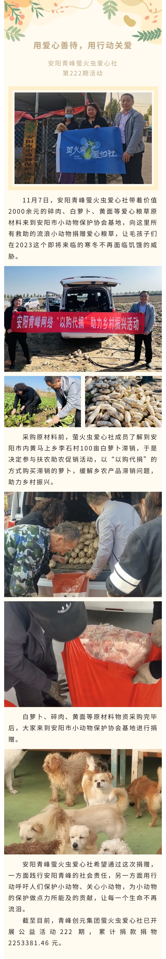 用愛心善待，用行動關愛--青峰創元集團螢火蟲愛心活動第222期報道